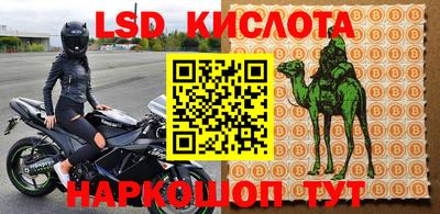 spice Рыбинск
